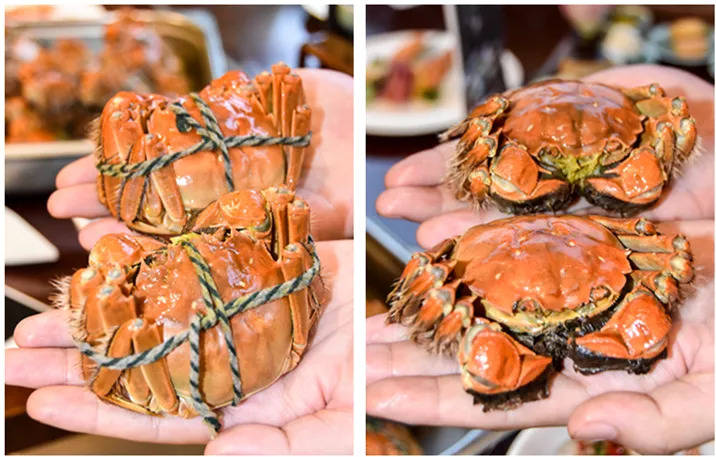 杭州海鮮盛宴，探索自然美景之旅，尋找內(nèi)心寧?kù)o的味蕾之旅