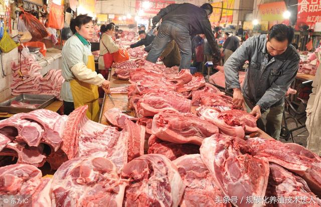 科技助力豬肉價(jià)格跟蹤，智能監(jiān)控，洞悉未來市場動態(tài)