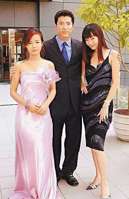 謝金燕與李政穎最新動(dòng)態(tài)，星光閃耀，攜手共繪時(shí)代畫(huà)卷