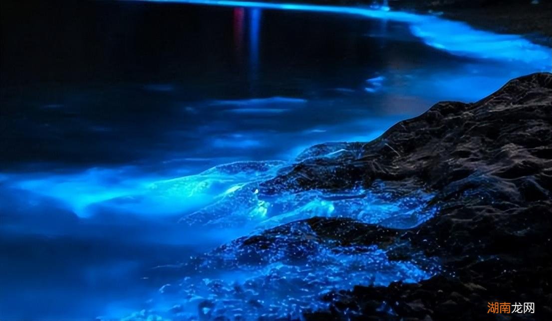 最新藍眼淚現(xiàn)象，尋找內心平靜的奇妙旅程