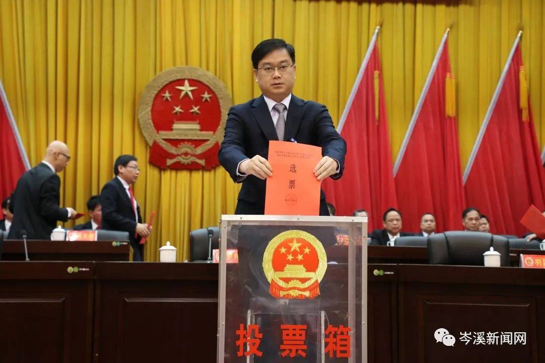 岑溪人事任免信息詳解，獲取指南及初學(xué)者進(jìn)階指南