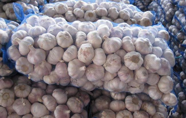 開封大蒜最新市場價格，時代味道與市場動態(tài)同步更新