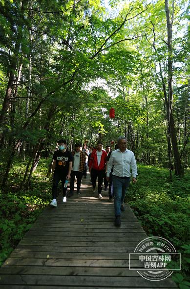 夢幻遮天最新版下載攻略，快速獲取下載渠道與指南