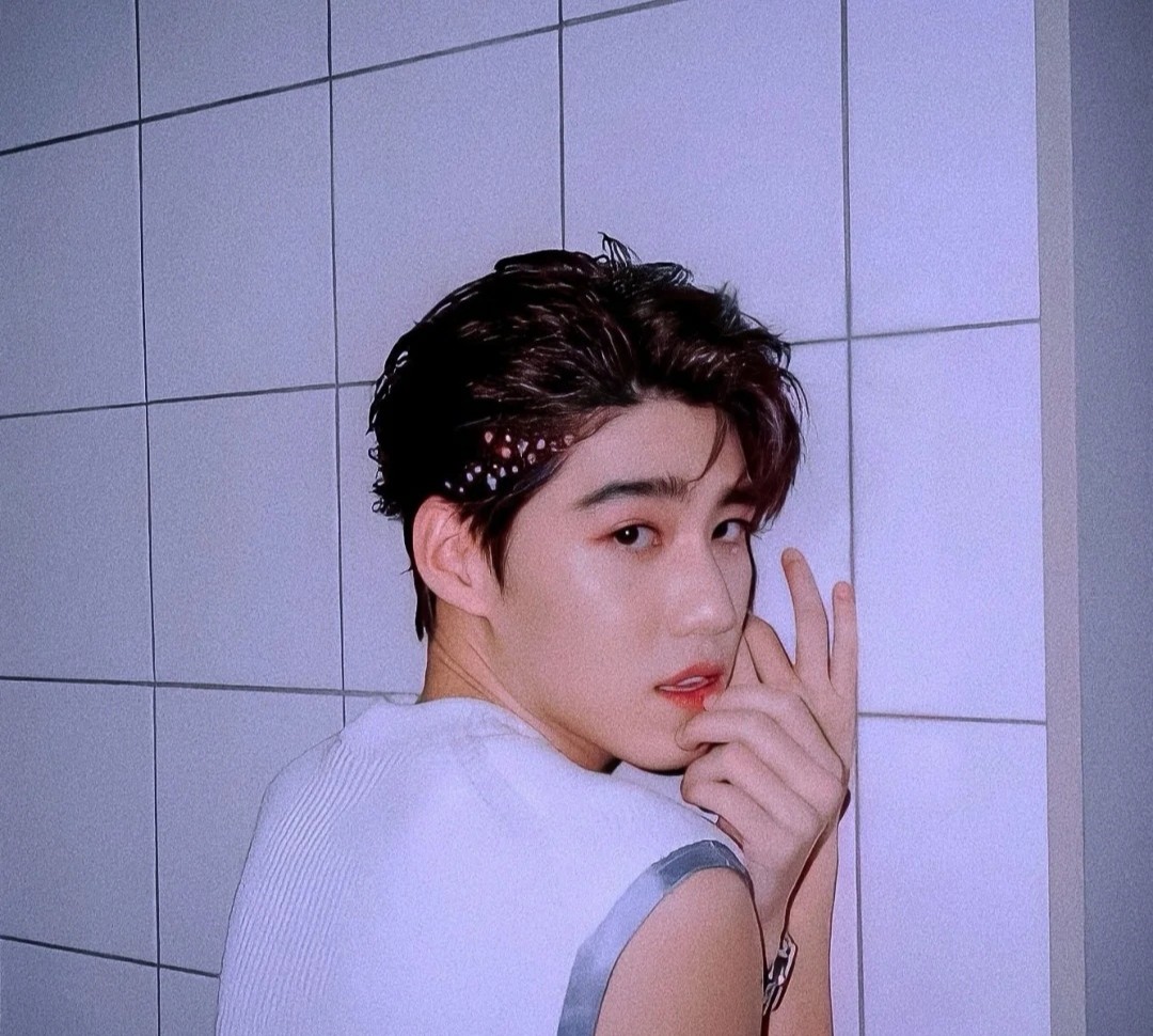 PP最新動(dòng)態(tài),PP最新動(dòng)態(tài)，塑造新時(shí)代的獨(dú)特力量