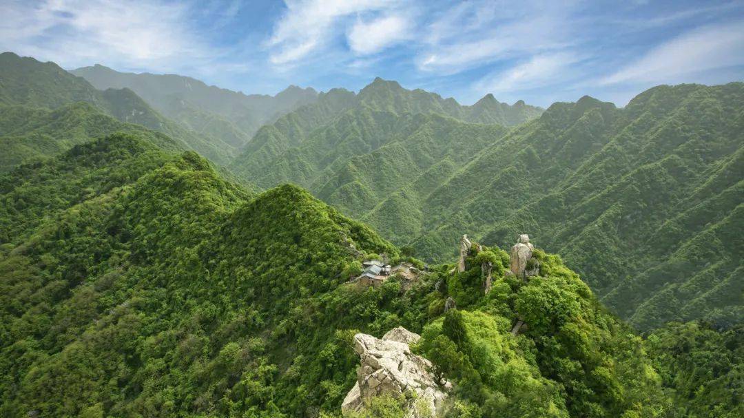 秦嶺最新動態(tài)，探險之旅與溫情之旅的奇妙交匯