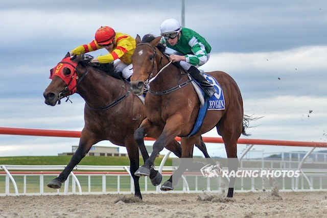 斗馬比賽殘忍視頻直播,斗馬比賽殘忍視頻直播，現(xiàn)象、爭(zhēng)議與反思