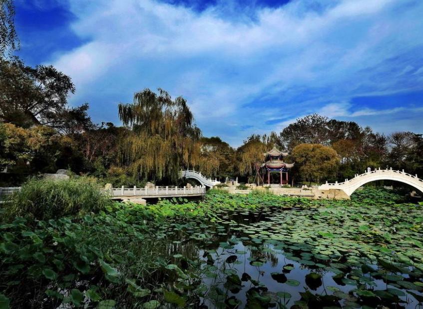 天津女排比賽門(mén)票，小巷深處的觀賽激情之旅