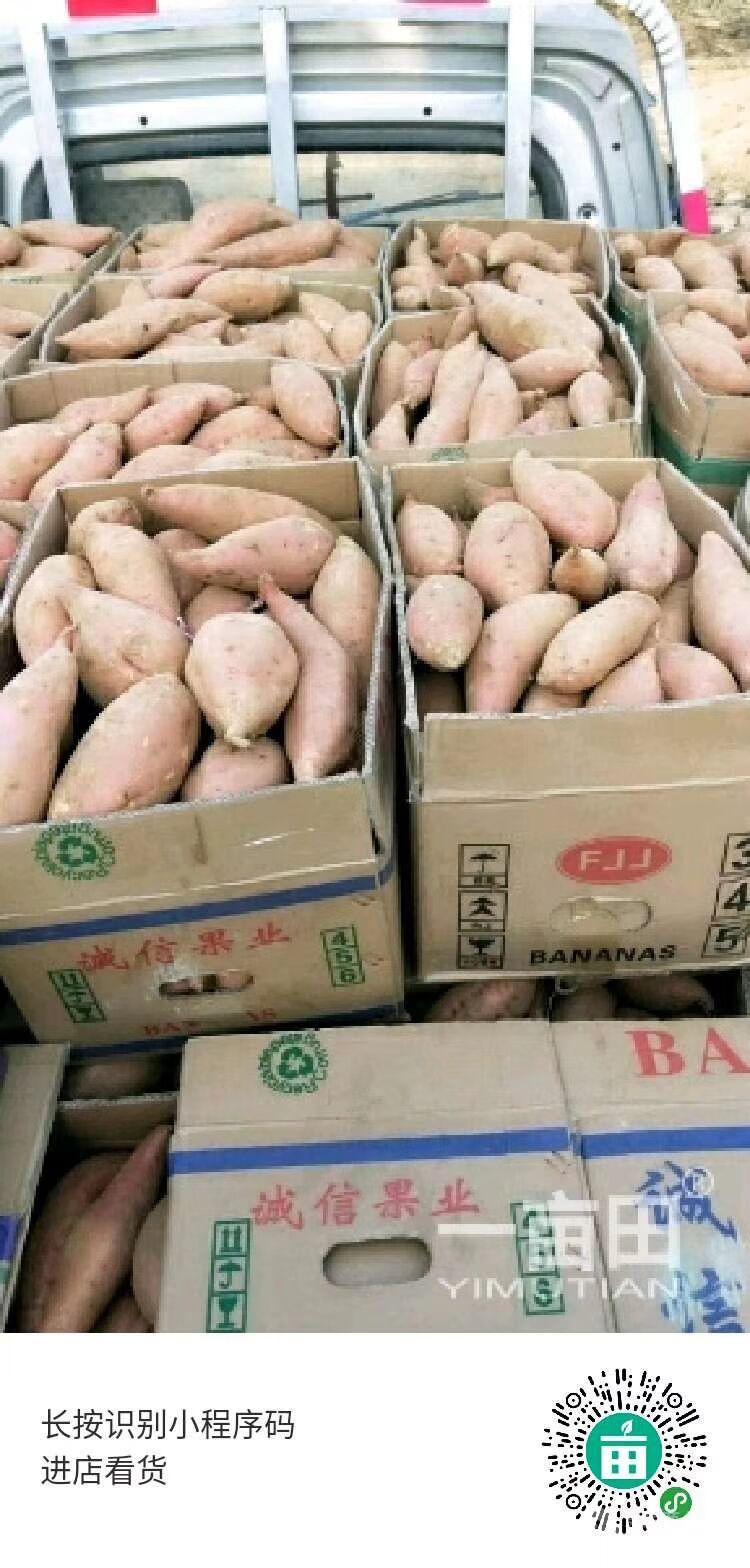 地瓜價格動態(tài)走勢,地瓜價格動態(tài)走勢，變化中的機遇與自我超越的旅程