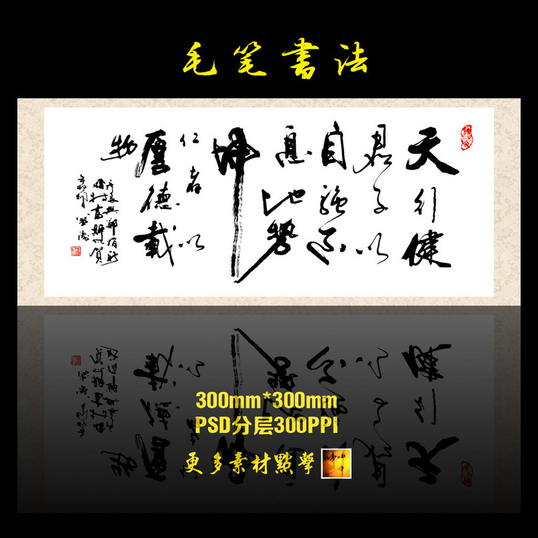 天行健上市,天行健上市，邁向資本市場的堅實步伐