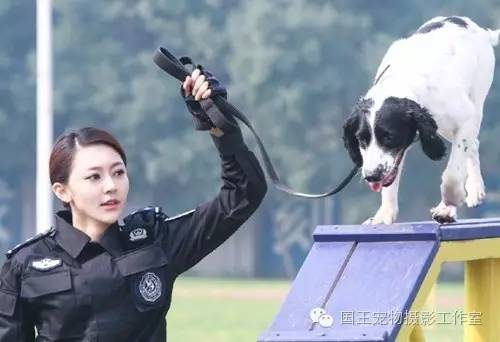 警花與警犬，鐵血柔情演繹真實(shí)警魂的演員們