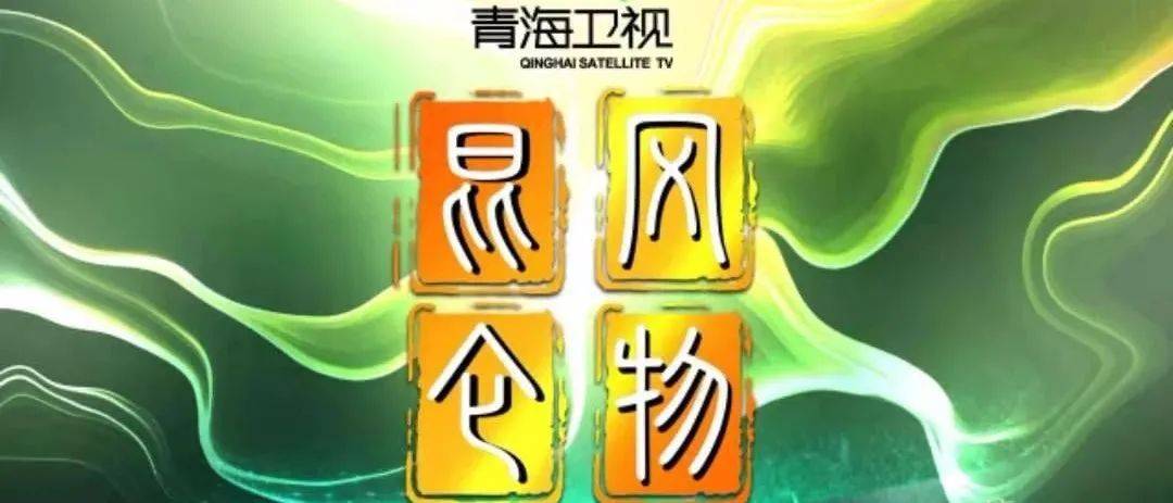 青海人事任免最新動(dòng)態(tài)，溫情故事揭秘人事變遷