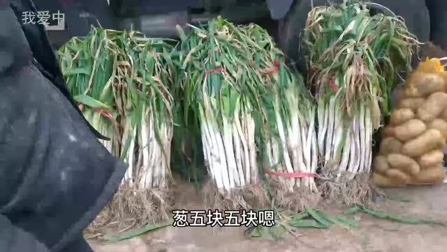 今日大蔥價格行情詳解，獲取與分析價格信息的指南