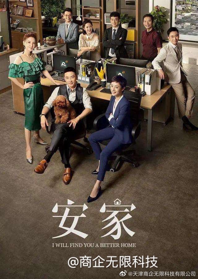 安家天下新動態(tài)，深度探索與觀點分析