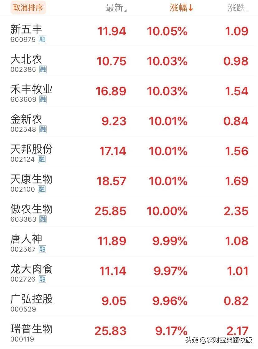 股票新五豐，深度解析投資價(jià)值與策略選擇