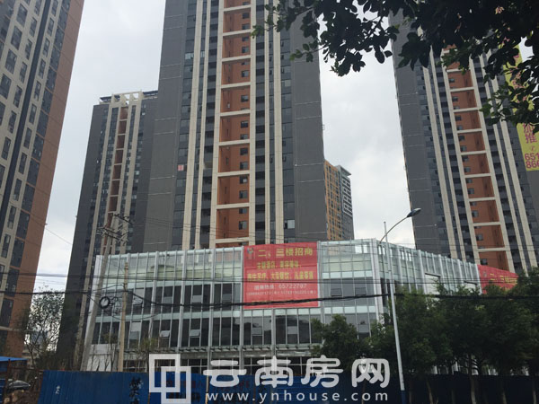 昆明名旺角最新資訊全攻略，資訊獲取指南與動態(tài)速遞