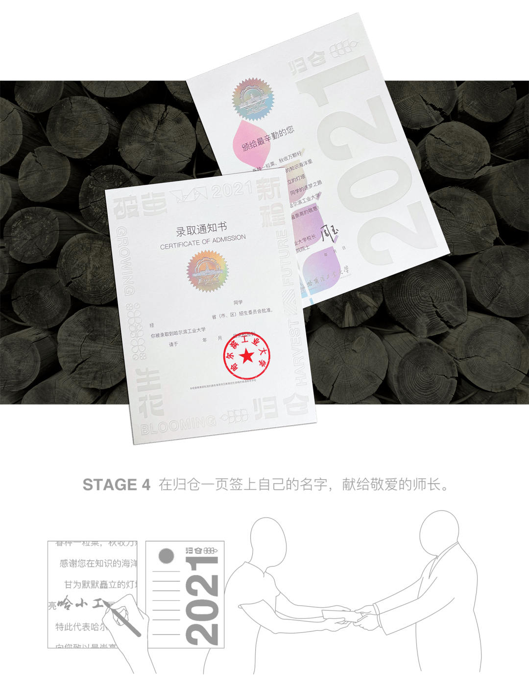 小巷印章探秘，最新章節(jié)揭秘官方印章的魅力