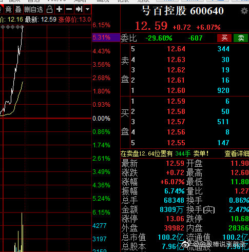 號(hào)百控股股票，小巷深處的魅力與探索之旅