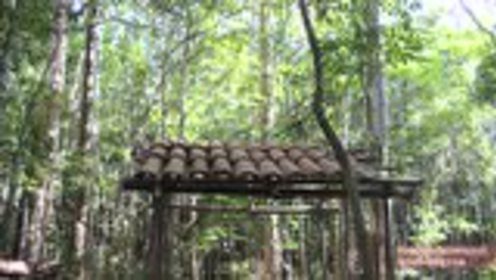 澳洲小哥荒野求生紀(jì)實(shí)，學(xué)習(xí)荒野求生技能的必備指南