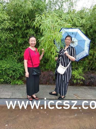 最新美女圖片，時(shí)代印記與文化的鏡像展現(xiàn)