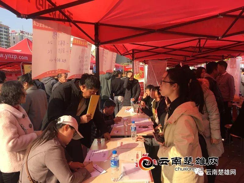 東鄉(xiāng)縣最新招聘資訊，職業(yè)發(fā)展的理想選擇地，尋找人才與機遇的交匯點