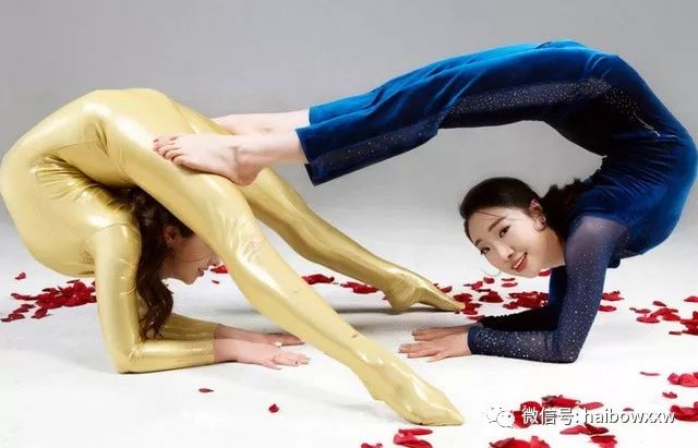 柔術(shù)資訊深度解析，探索世界聚焦要點(diǎn)