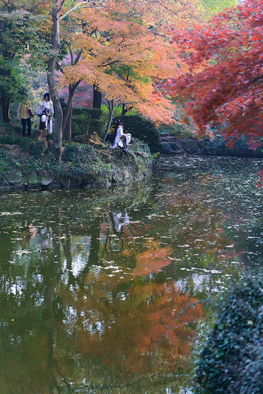 秋霞影院最新，電影藝術的現(xiàn)代盛宴