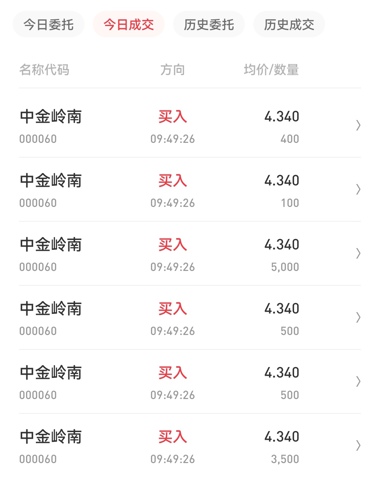 中金嶺南行情深度解析，最新動(dòng)態(tài)與走勢分析