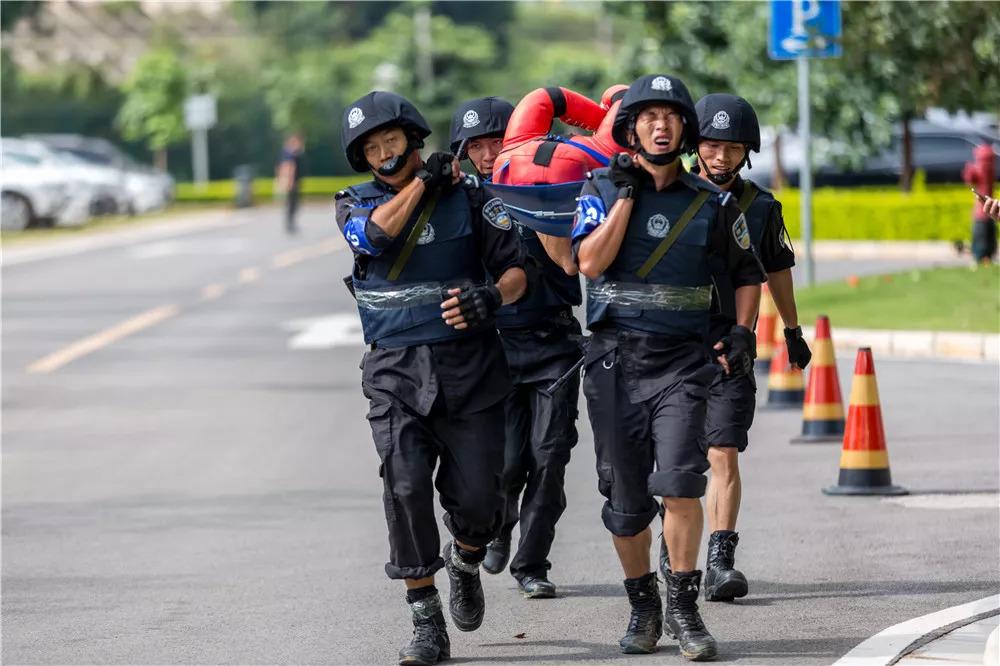 電視劇武裝特警演員表，自信、變化與成就感的勵志之旅探索