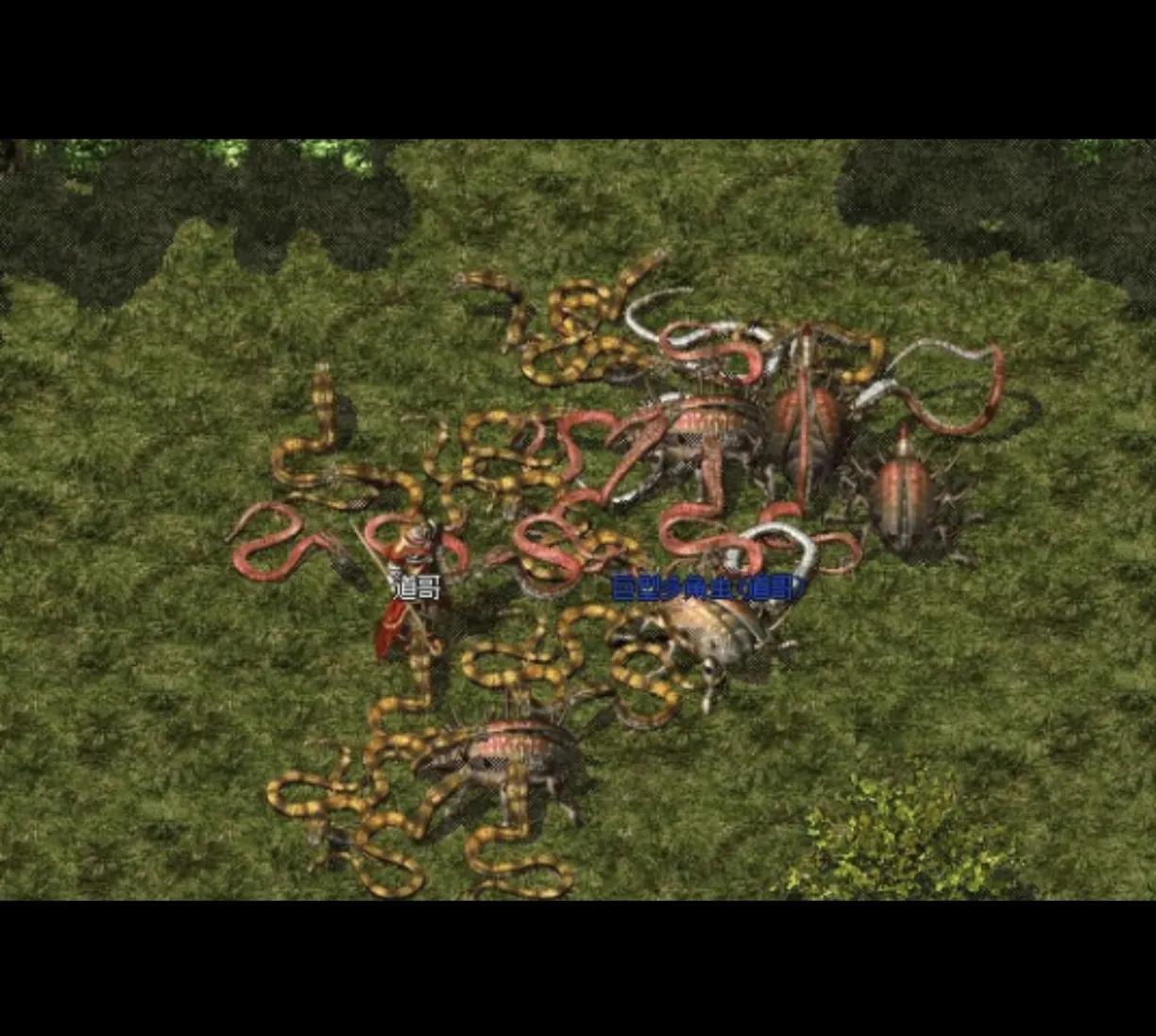 裁決之地演員，小巷中的隱秘寶藏揭秘