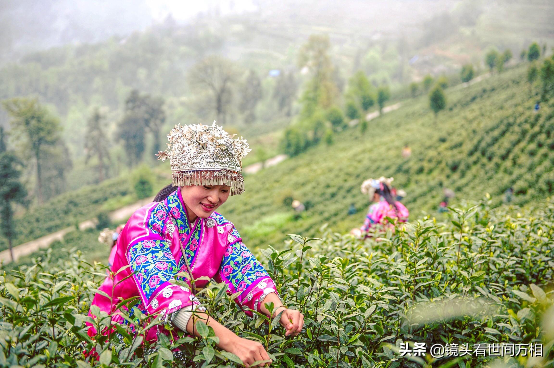 黔南新聞快訊，新鮮出爐的當(dāng)?shù)刭Y訊，不容錯過！