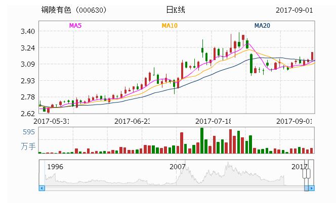 揭秘000630股票，投資潛力與策略深度解析