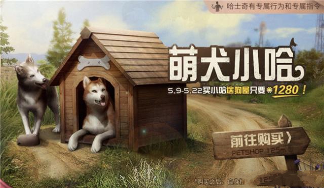 新型寵物風(fēng)潮，另類寵物的興起、爭(zhēng)議與介紹