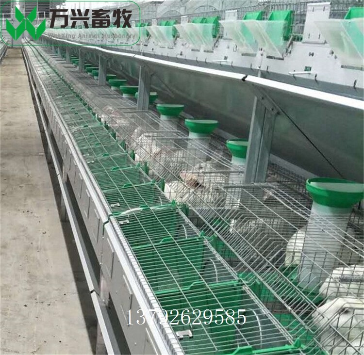革新養(yǎng)兔業(yè)，新型兔籠引領(lǐng)里程碑式發(fā)展