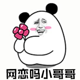 開啟并經(jīng)營一段網(wǎng)戀關(guān)系的實(shí)用指南，一步步教你掌握網(wǎng)戀動(dòng)態(tài)！