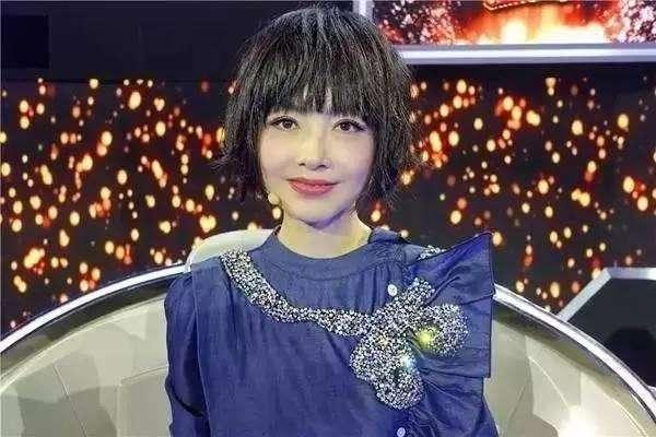 魯豫最新綜藝節(jié)目，自然探索之旅，重拾心靈寧靜的旅程