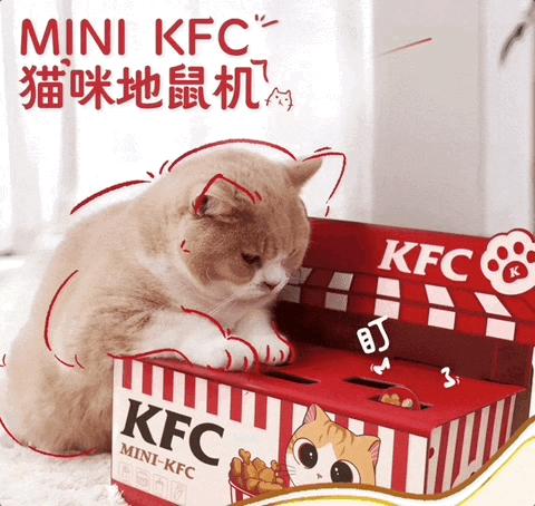 肯德基兒童套餐最新贈品，學習與成長的力量之源