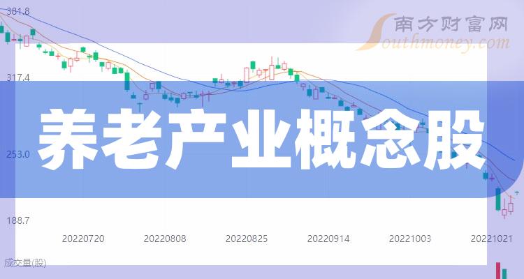 養(yǎng)老上市公司，小巷中的隱秘寶藏與特色小店的無限魅力探索