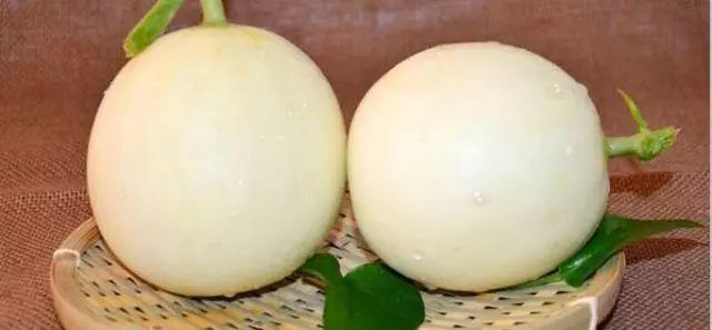 莘縣燕店鎮(zhèn)甜瓜價格，時代甜香記憶的探尋