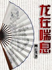 醫(yī)鼎最新章節(jié)閱讀，溫馨日常與友情紐帶的奇妙交織