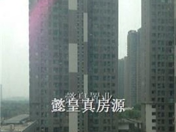 洛陽泉舜房價(jià)最新動態(tài)全面解析，如何獲取與理解房價(jià)走勢及最新消息