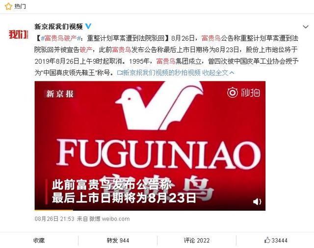 富貴鳥逆境重生，破產(chǎn)背后的力量與變化之美