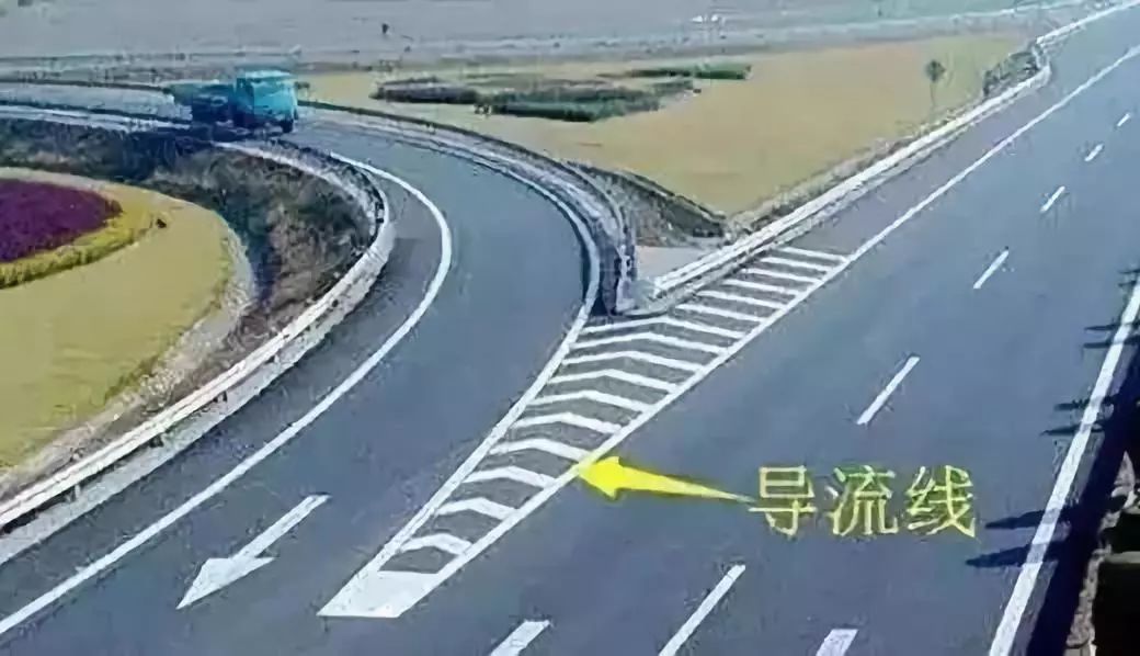 成金青快速路最新動態(tài)，日常趣事與情感紐帶揭秘