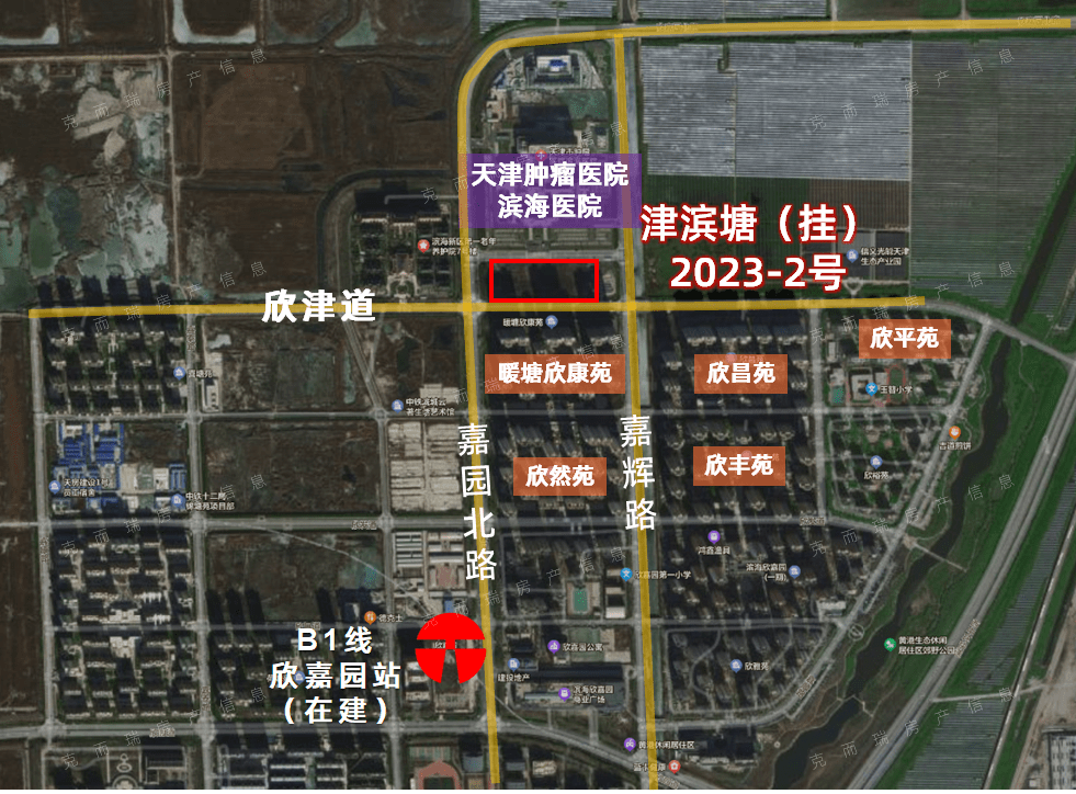 獨(dú)流津?yàn)臣覉@最新動(dòng)態(tài)，科技前沿重塑生活體驗(yàn)