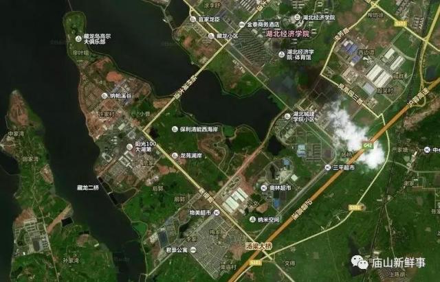 藏龍島二小最新動(dòng)態(tài)揭秘，小巷特色小店探秘之旅