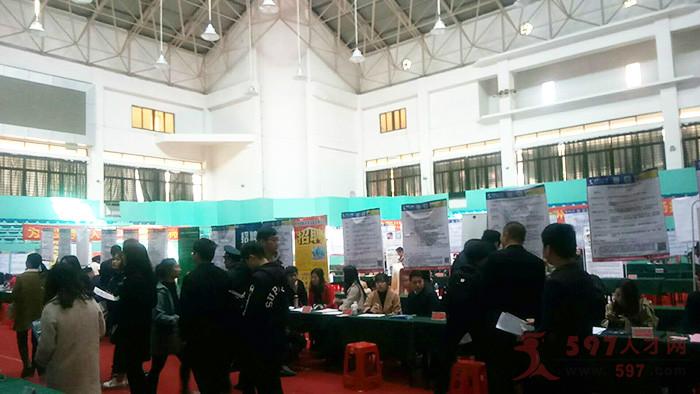 探尋職業(yè)發(fā)展機(jī)會，最新招聘在597惠安人才網(wǎng)