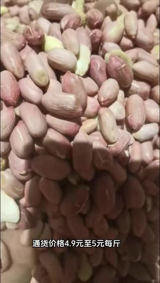 帶殼花生最新批發(fā)價(jià)格，變化中學(xué)習(xí)，成就自信與夢(mèng)想之路
