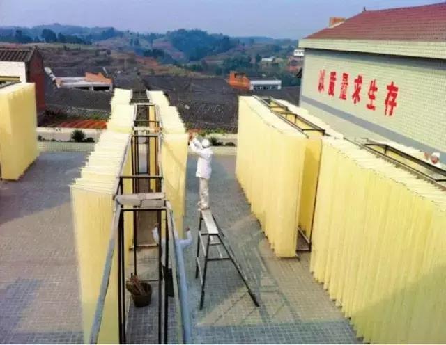 成宜高速公路最新動態(tài)，建設(shè)進(jìn)展、特色亮點(diǎn)及未來展望