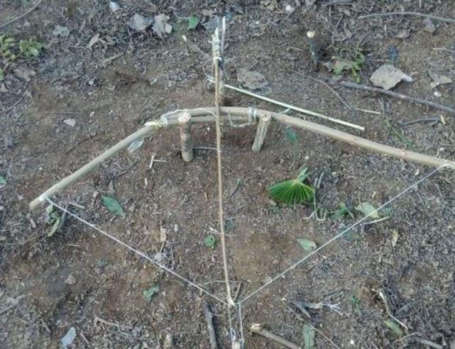 叢林大作戰(zhàn)最新版本攻略，任務(wù)完成與技能學習指南（初學者的進階之路）