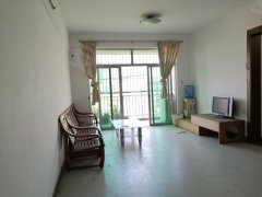 順德北滘最新二手房市場(chǎng)深度解析，全面觀點(diǎn)分析