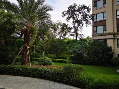 金河谷第五期最新價(jià)格揭秘，性價(jià)比與價(jià)值潛力深度剖析